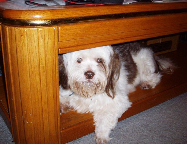 Cameron 20090220E-1